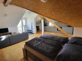 Apartmán u kolejí D