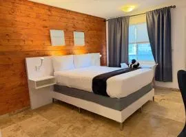 Bright and Cozy Studio Apt16