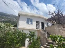 Apartmans White perl