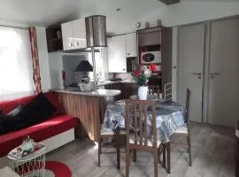 Mobil'home 3 pièces 4 couchages Dolus d'Oléron DDO000-457