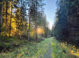 GREEN DOLOMYTE Apartment, hotel a Schilpario