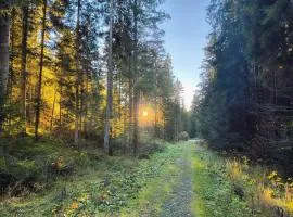 GREEN DOLOMYTE Apartment