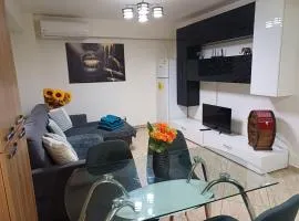 Apartament de lux cu 3 camere