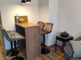 Cozy Apartment in Old Riga & Free Underground Parking