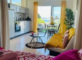 Studio Presqu'île de Giens vue mer