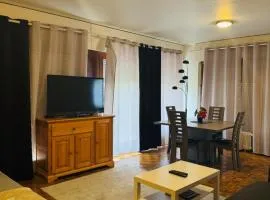 Appartement avec Terrasse & Parking Privé - Centre Thonon