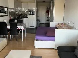 Beautiful apartment