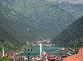 Şimo Suite Otel, hotel din Uzungöl
