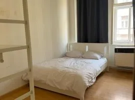 Bright Room in Shared Apartment Letna Near Prague City Center