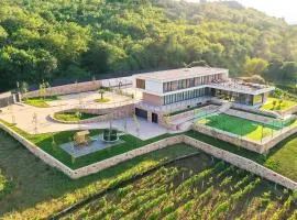 Spectacular Villa Excelsior Perfect for Families, Business, or Celebrations