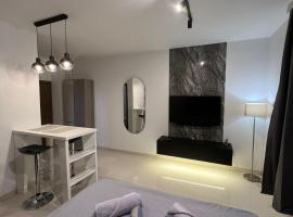 LiboroView、ニシュのホテル