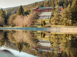 Hotel Partizán, hotell i Tale