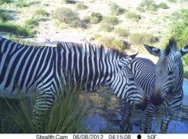 Achab Eco cabin, hotell sihtkohas Usakos