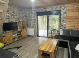 Rest house in forest 5km from Kolasin