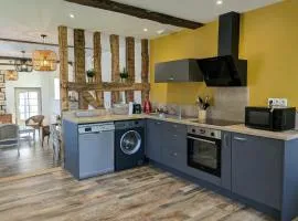 Maison spacieuse avec jardin privatif, idéale pour 6, proche Orléans et Châteaux de la Loire - FR-1-590-236