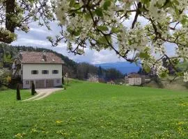 Aschnerhof Auf´m Egg