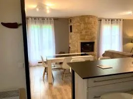Maison familiale à Saint-Pée-sur-Nivelle avec jardin