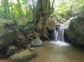 Dilco Nature Resort - BERAGALA