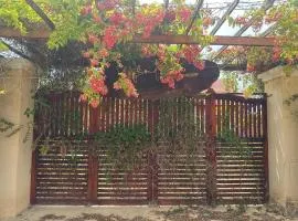 Orchid Homestay