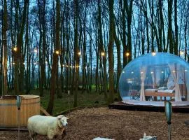 Bubbeltent in bos met hottub, 20m Amsterdam