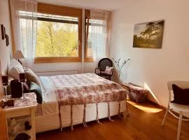 Zürich Hideaway! Neu! B&B an der Goldküste - 2 Einzelzimmer verfügbar