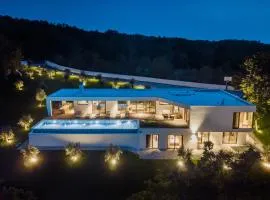 Luxury Villa Nicol Tireli - by Istrabook
