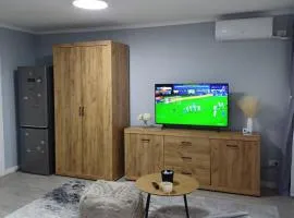 Studio modern cu teresa langa aeroport Baneasa Bucuresti