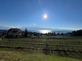 Superb Studio in Lausanne!