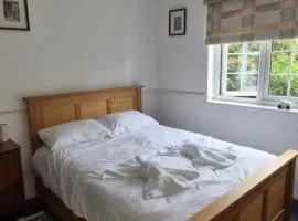 Room to Rent Edmonton green
