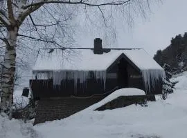 Chalet les Sonnailles