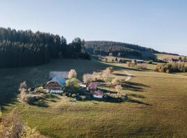 Sigmundenhof Schonach, отель в городе Ölberg