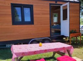 Mobile Tinyhouse by Wolfsberger