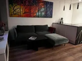 Design Apartment in Vesterbro with Large Balcony