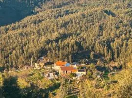 Alojamento Local Vale dos Vascos