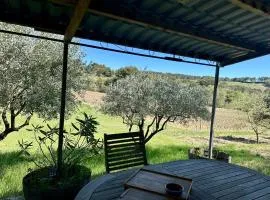 Mobil-home au cœur des vignes