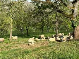 Domaine la Noyeraie Périgord Noir