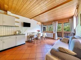 Mayrhof Apartment Ahorn