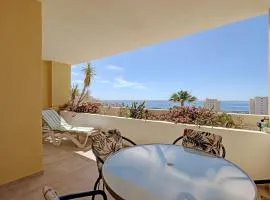 Spacious apartment Puerto Alto