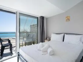 Iguana studio 17