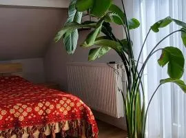 Apartment Zum Wohlfühlen
