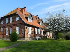 Gutshaus Benckendorf - Wohnung Erde, Hotel in Dassow