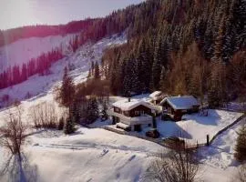 Nice Home In Tretten With Sauna