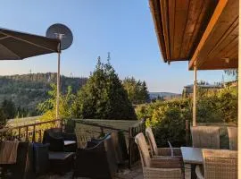 Ferienhaus Goldisthal