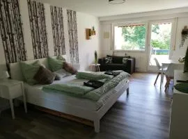Lived-in Appartement
