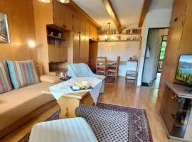 RENATE Haus KMB Seeappartement am Ossiacher See, Hallenbad, Skiarena Gerlitzen
