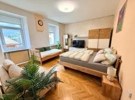 EDI APP Bovec Center-Free Parking & Mountain View