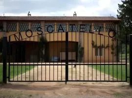 Moscatello - Gavorrano