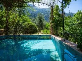 Sa Cabana d'es Vicari