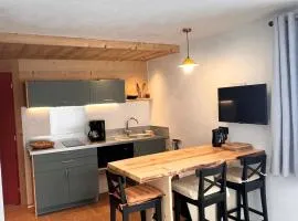 l'appartement Plainpalais