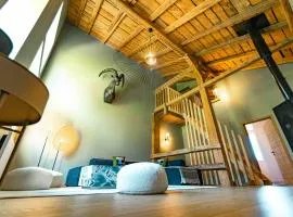 Chalet Design Terre De Sapins